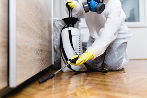 Best Pest Removal Services  in Cliffside Park, NJ