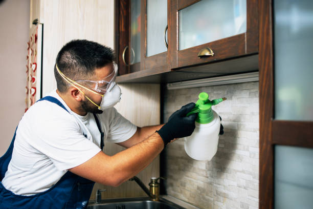 Best Flea Control Services  in Cliffside Park, NJ