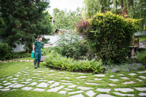 Best Residential Pest Control  in Cliffside Park, NJ