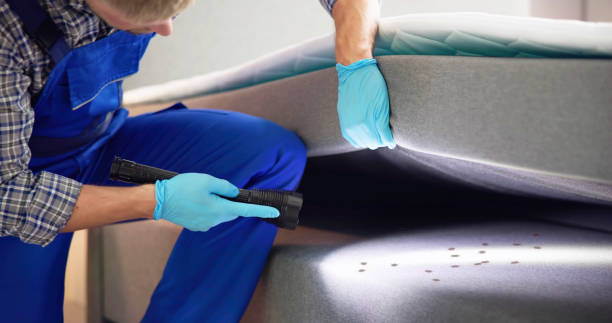 Best Emergency Pest Control  in Cliffside Park, NJ