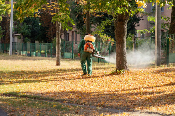 Best Termite Control Services  in Cliffside Park, NJ