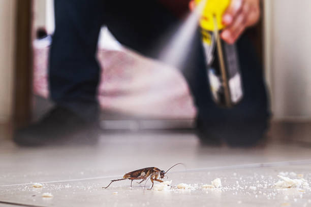 Best Pest Removal Services  in Cliffside Park, NJ