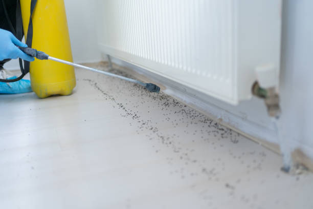 Best Cockroach Control Services  in Cliffside Park, NJ
